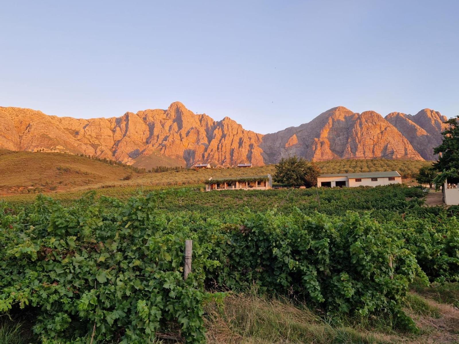 Vredehoek Guest Farm Breërivier Esterno foto