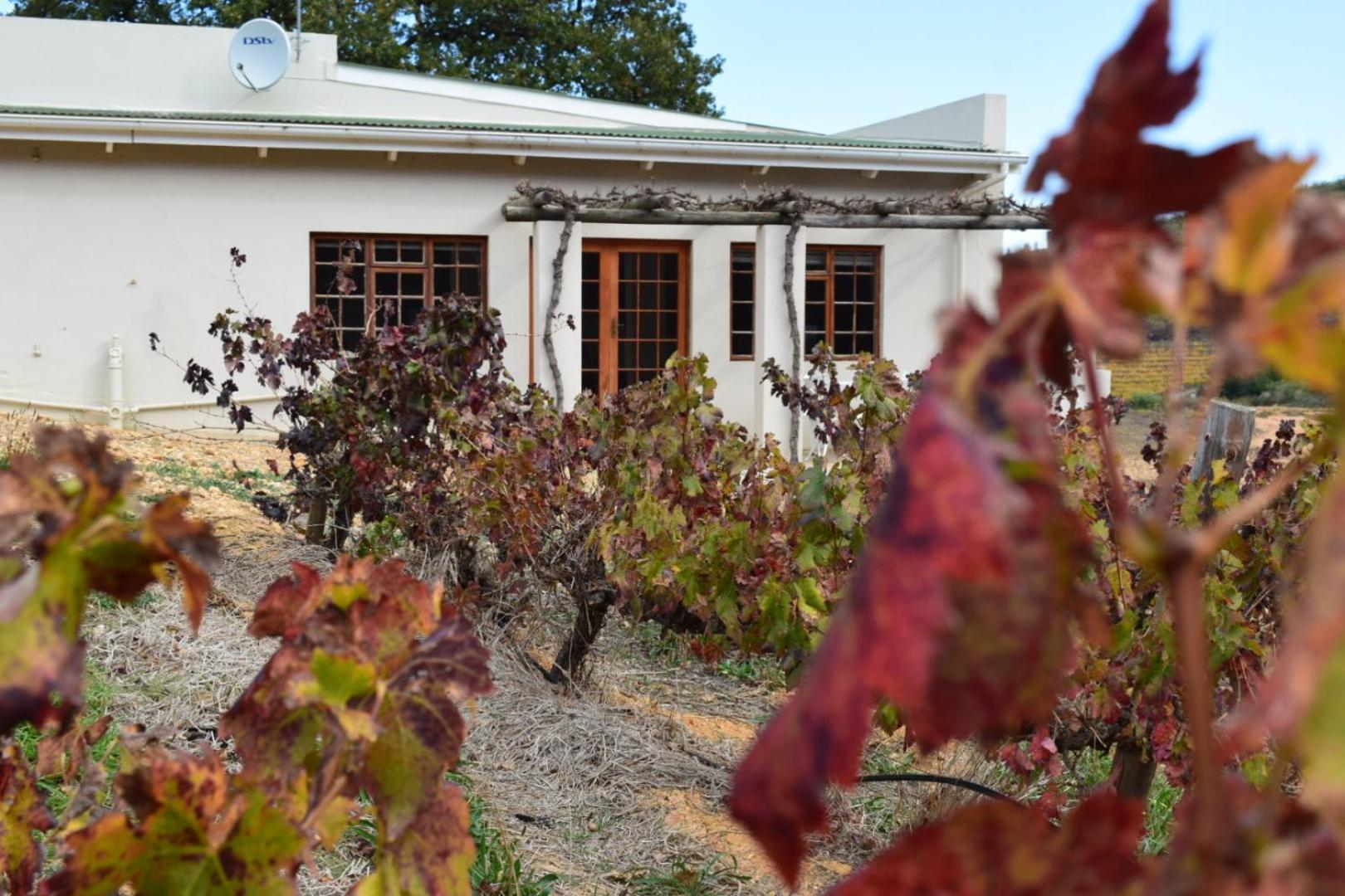 Vredehoek Guest Farm Breërivier Esterno foto